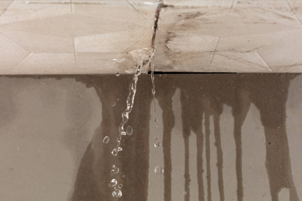Professional Structural Drying technician working in Chauncey, WV